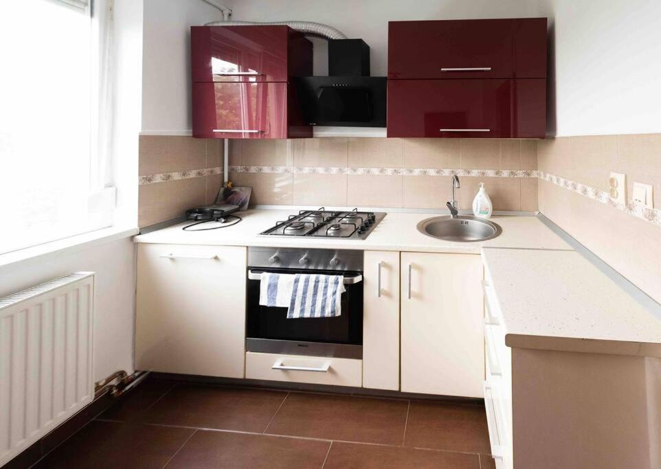 Apartament Timisoara Appartement Buitenkant foto